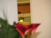 Praxisansicht aus Wartezimmer